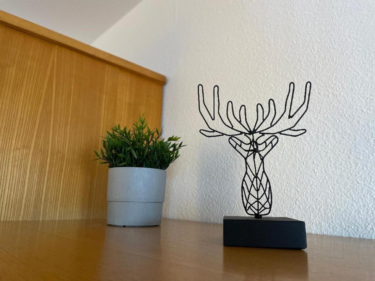Appartement Zum Hirsch'N Waldkirchen Zewnętrze zdjęcie