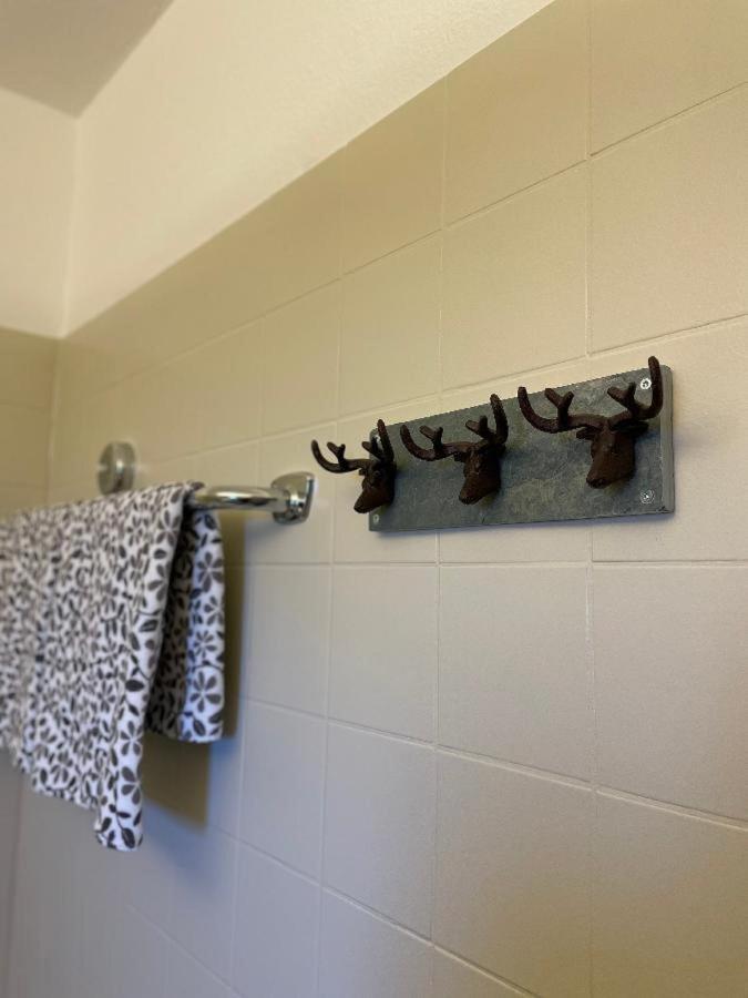 Appartement Zum Hirsch'N Waldkirchen Zewnętrze zdjęcie