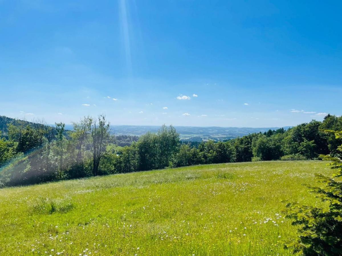 Appartement Zum Hirsch'N Waldkirchen Zewnętrze zdjęcie