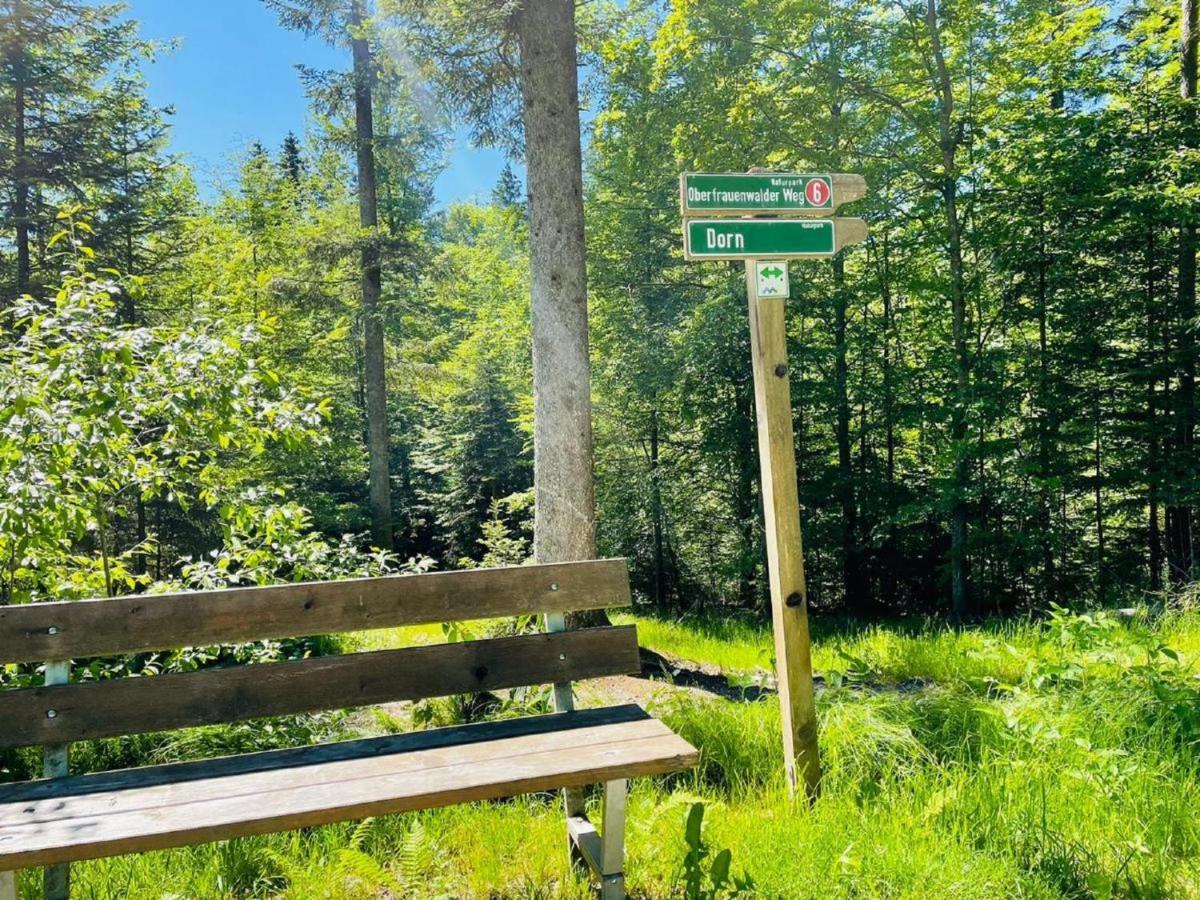 Appartement Zum Hirsch'N Waldkirchen Zewnętrze zdjęcie