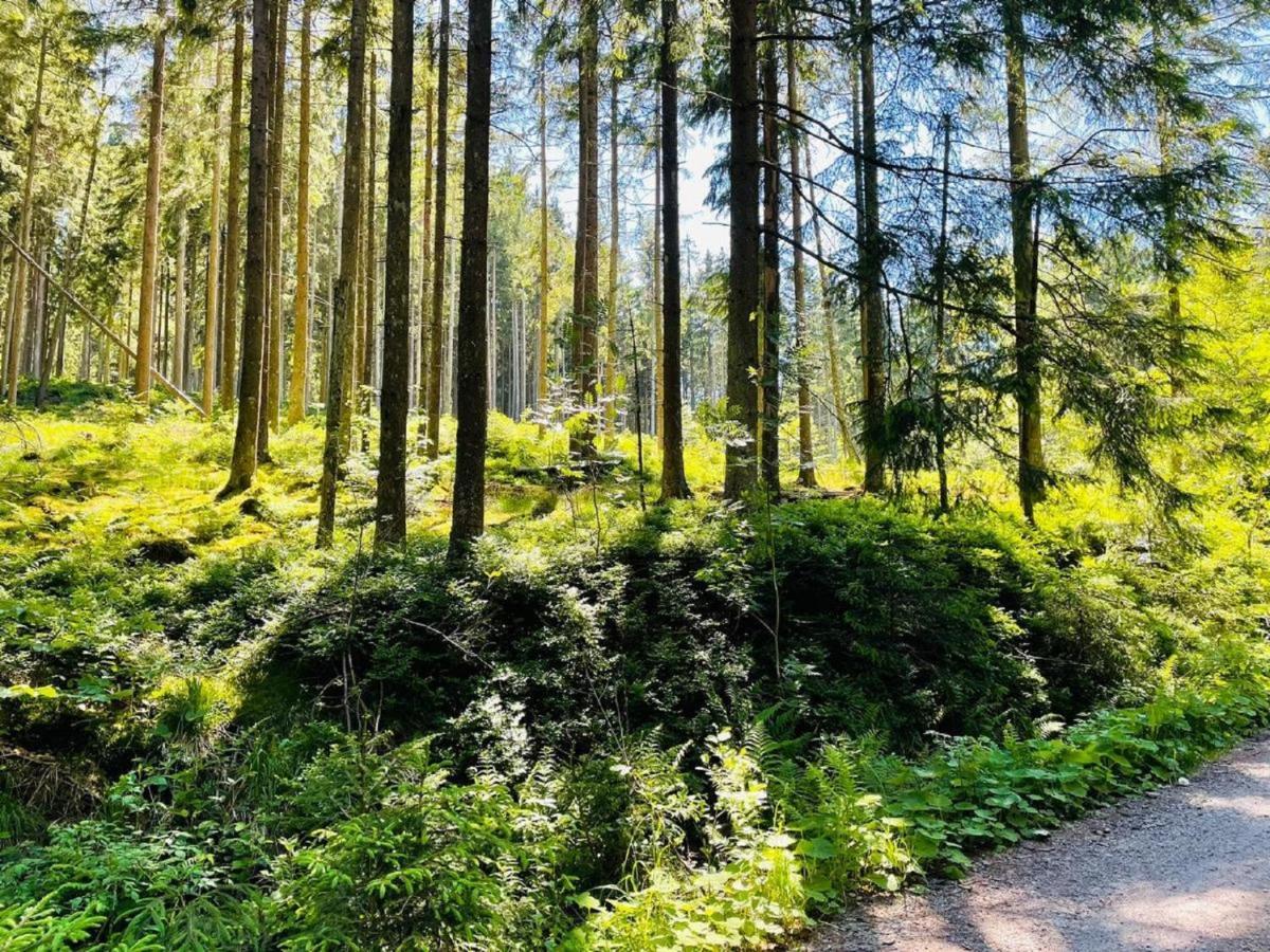 Appartement Zum Hirsch'N Waldkirchen Zewnętrze zdjęcie